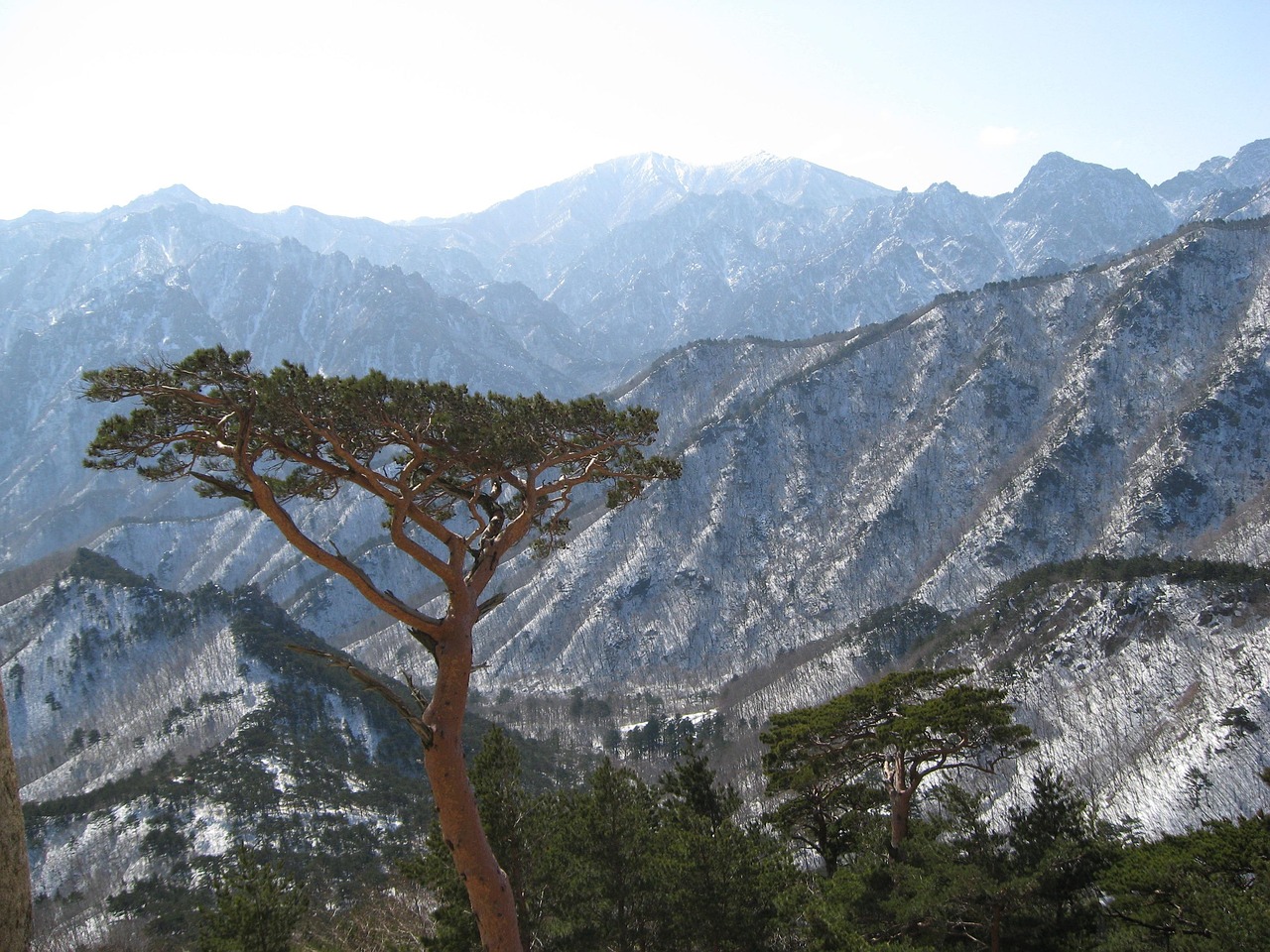 울산 남구 개인회생