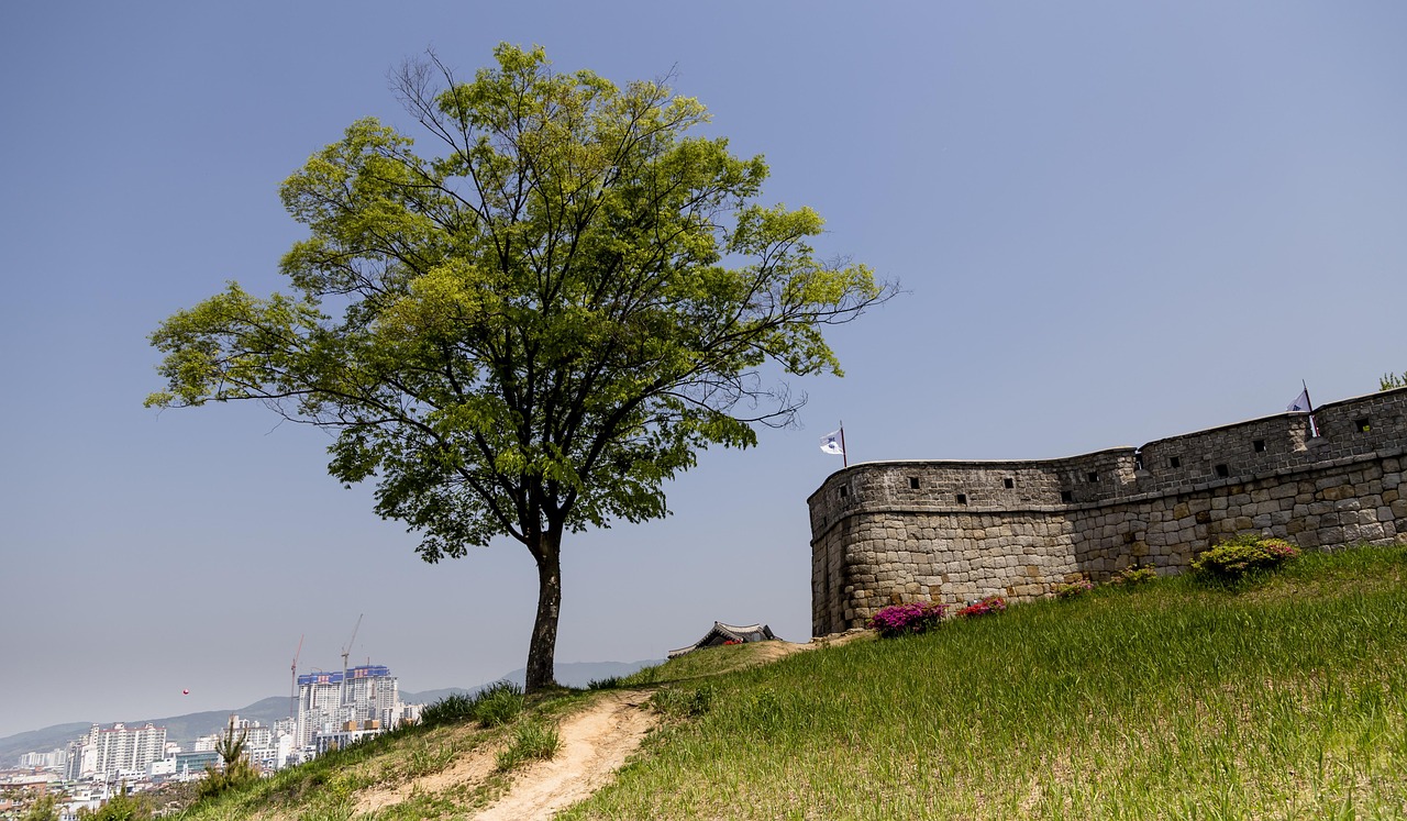 수원 팔달구 개인회생